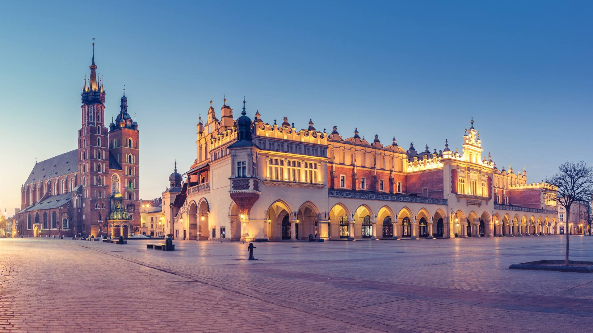 Adventure awaits with ZORA TRAVEL